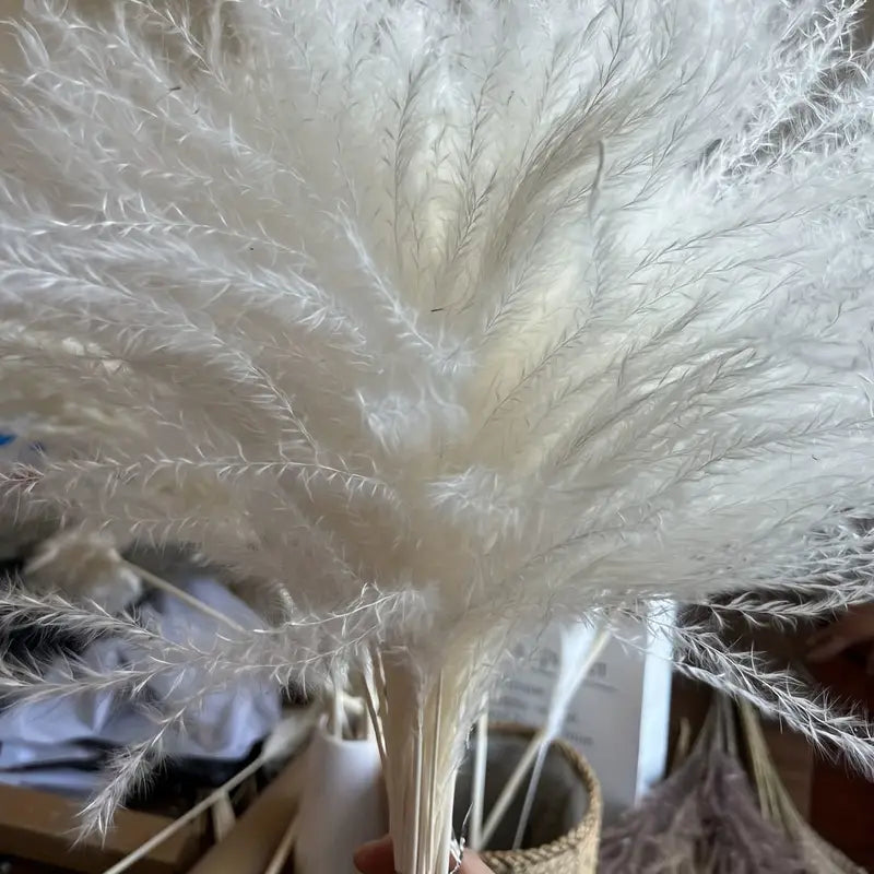 50-Piece Real Touch Dried Flower Set – Natural Rabbit Tail Reed Arrangement | Luxury Pampas & Dried Grass Home Décor