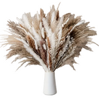 50-Piece Real Touch Dried Flower Set – Natural Rabbit Tail Reed Arrangement | Luxury Pampas & Dried Grass Home Décor