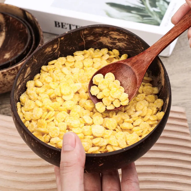 Handcrafted Eco-Friendly Coconut Bowls WHIMSICAL HOME OF CREATIONS