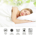 Luxury 300 TC Polyester Microfiber Sheets – Silky Soft, Wrinkle-Free, Deep Pockets, Fade-Resistant 4-Piece Set WHIMSICAL HOME OF CREATIONS