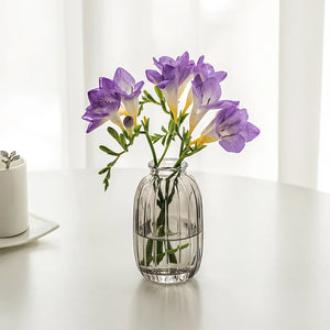 Modern Retro/ Vintage Mini Vases – Transparent & Colourful