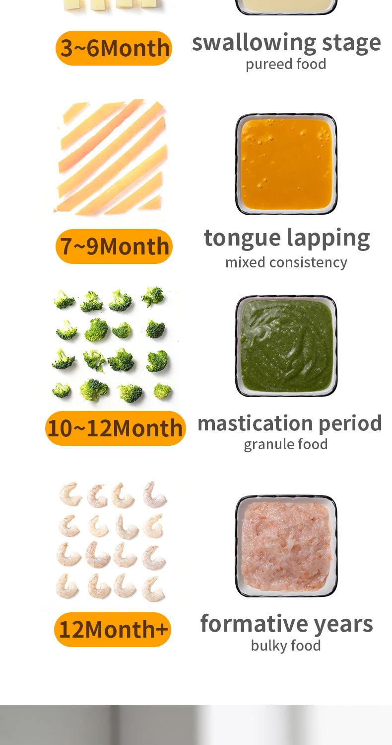 Multi-Functional Baby Food Maker – Steamer, Puree Blender & Milk Warmer with Temperature Display WHIMSICAL HOME OF CREATIONS