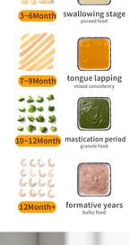 Multi-Functional Baby Food Maker – Steamer, Puree Blender & Milk Warmer with Temperature Display WHIMSICAL HOME OF CREATIONS