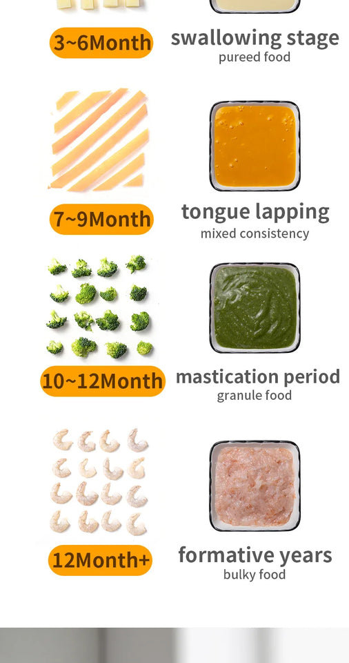 Multi-Functional Baby Food Maker – Steamer, Puree Blender & Milk Warmer with Temperature Display