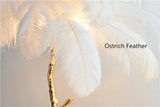 Modern Luxury Ostrich Feather Floor Lamp – Elegant Statement Piece