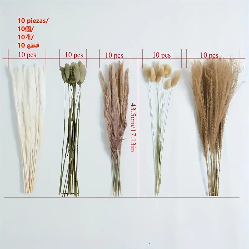 50-Piece Real Touch Dried Flower Set – Natural Rabbit Tail Reed Arrangement | Luxury Pampas & Dried Grass Home Décor